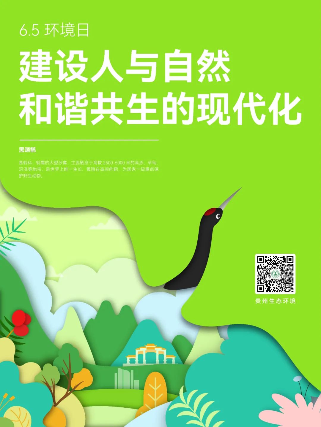 4f444da94a044ae3805acf0749d34687.jpg